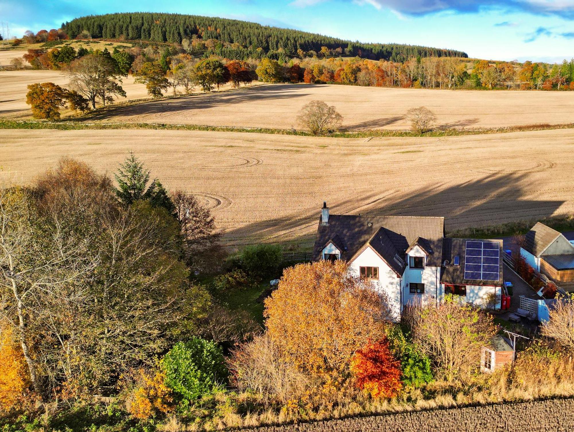 Beechwood Lodge Guesthouse Alness Dış mekan fotoğraf
