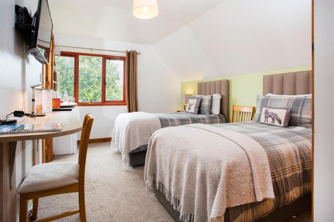 Beechwood Lodge Guesthouse Alness Dış mekan fotoğraf