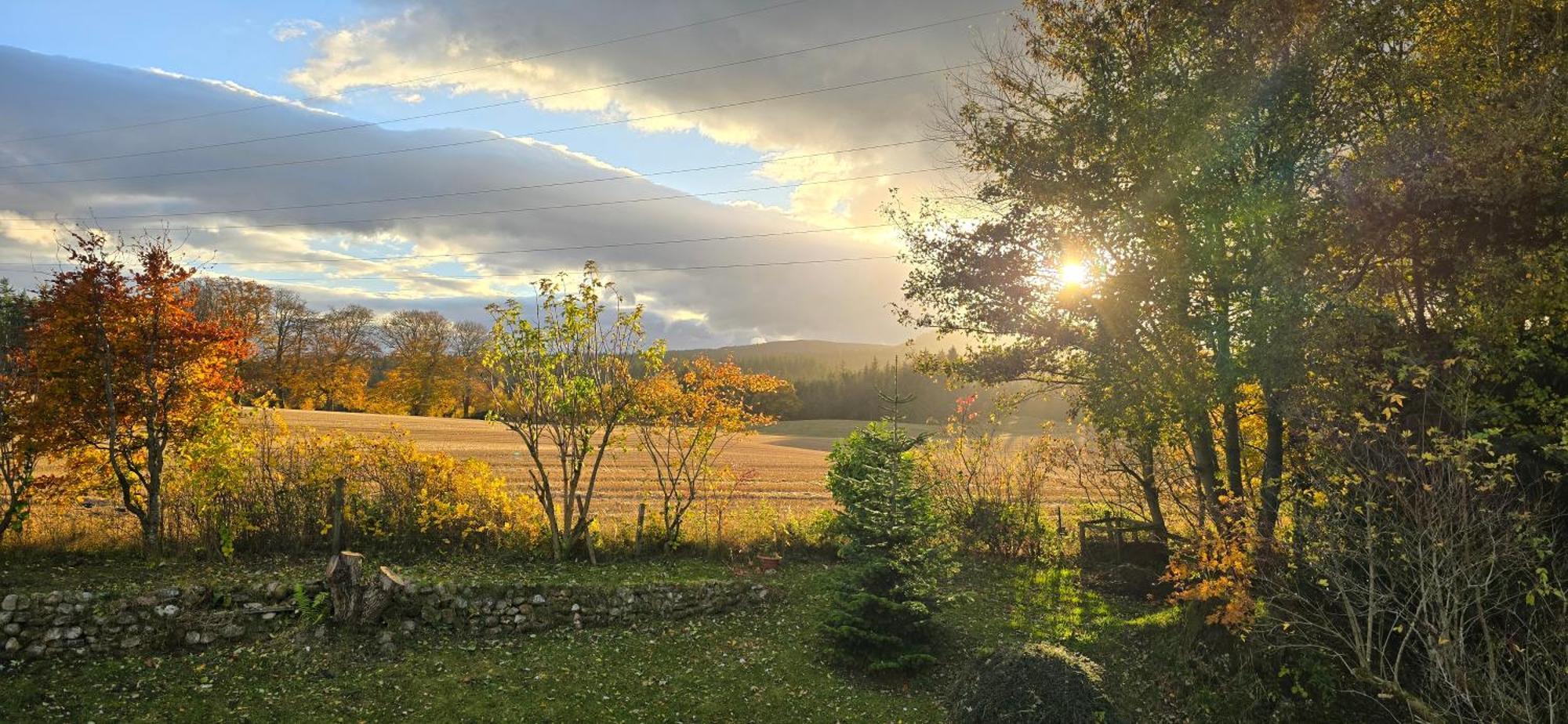 Beechwood Lodge Guesthouse Alness Dış mekan fotoğraf
