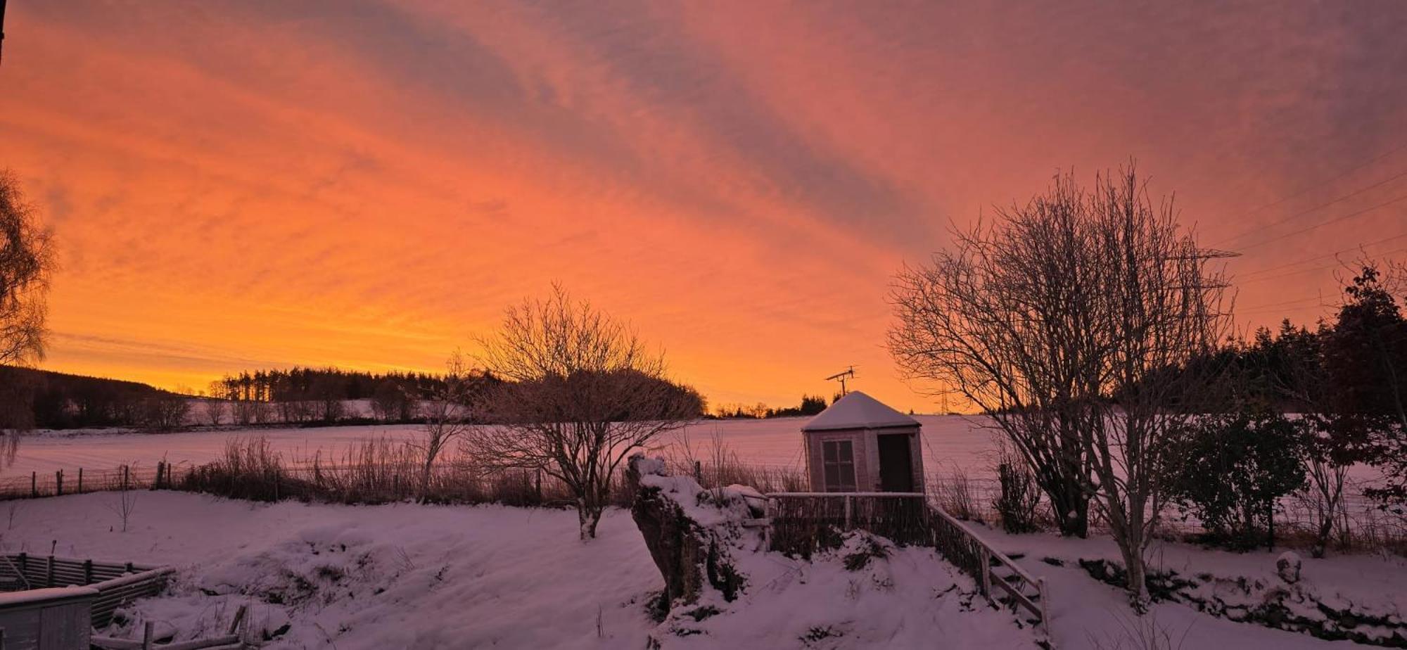 Beechwood Lodge Guesthouse Alness Dış mekan fotoğraf
